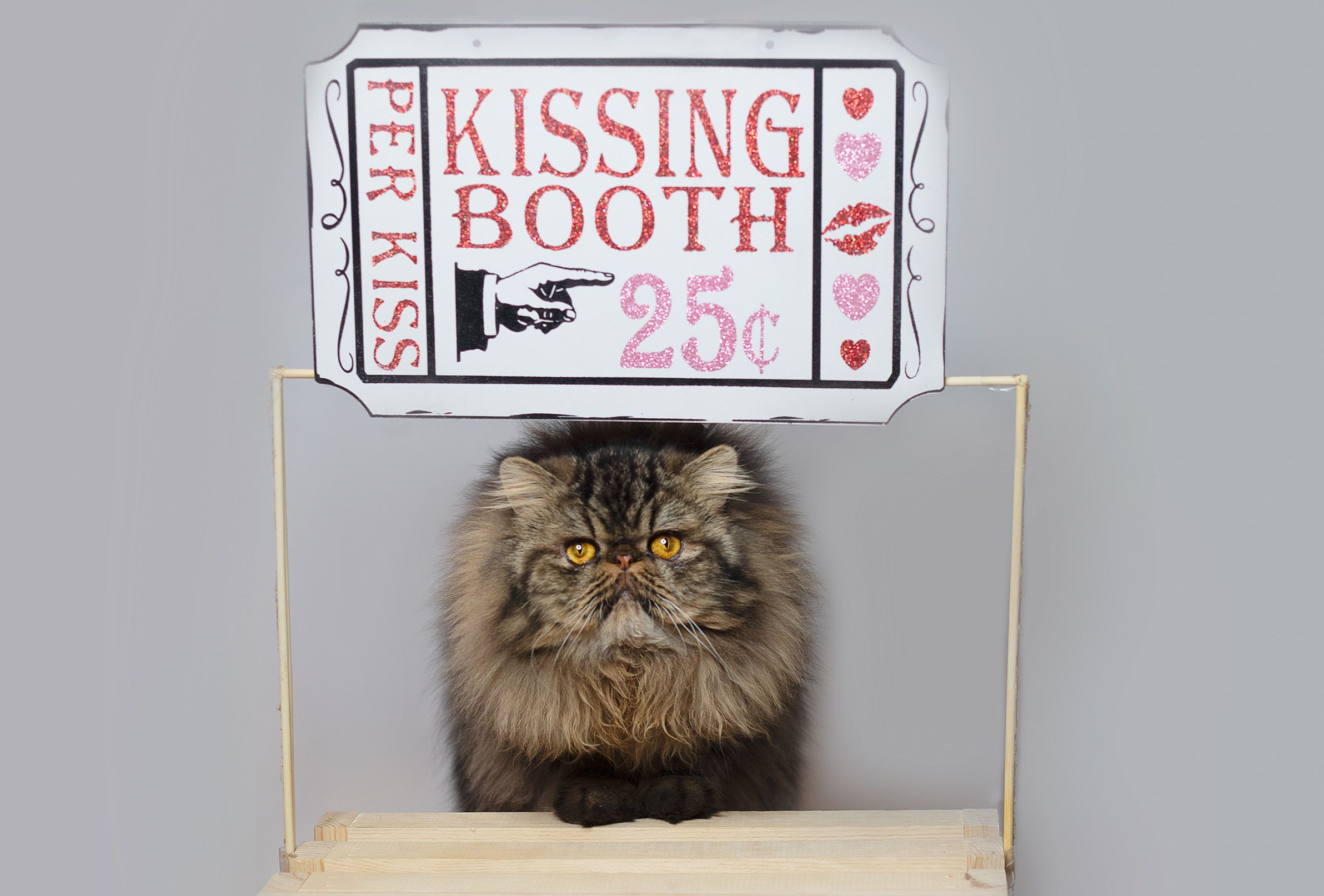 Kissing booth