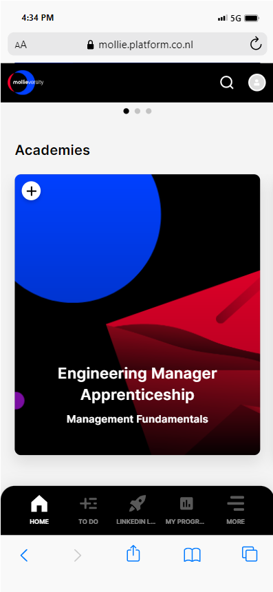 Mollieversity apprenticeship