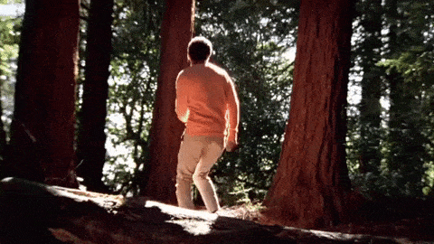 person dancing in the forest gif