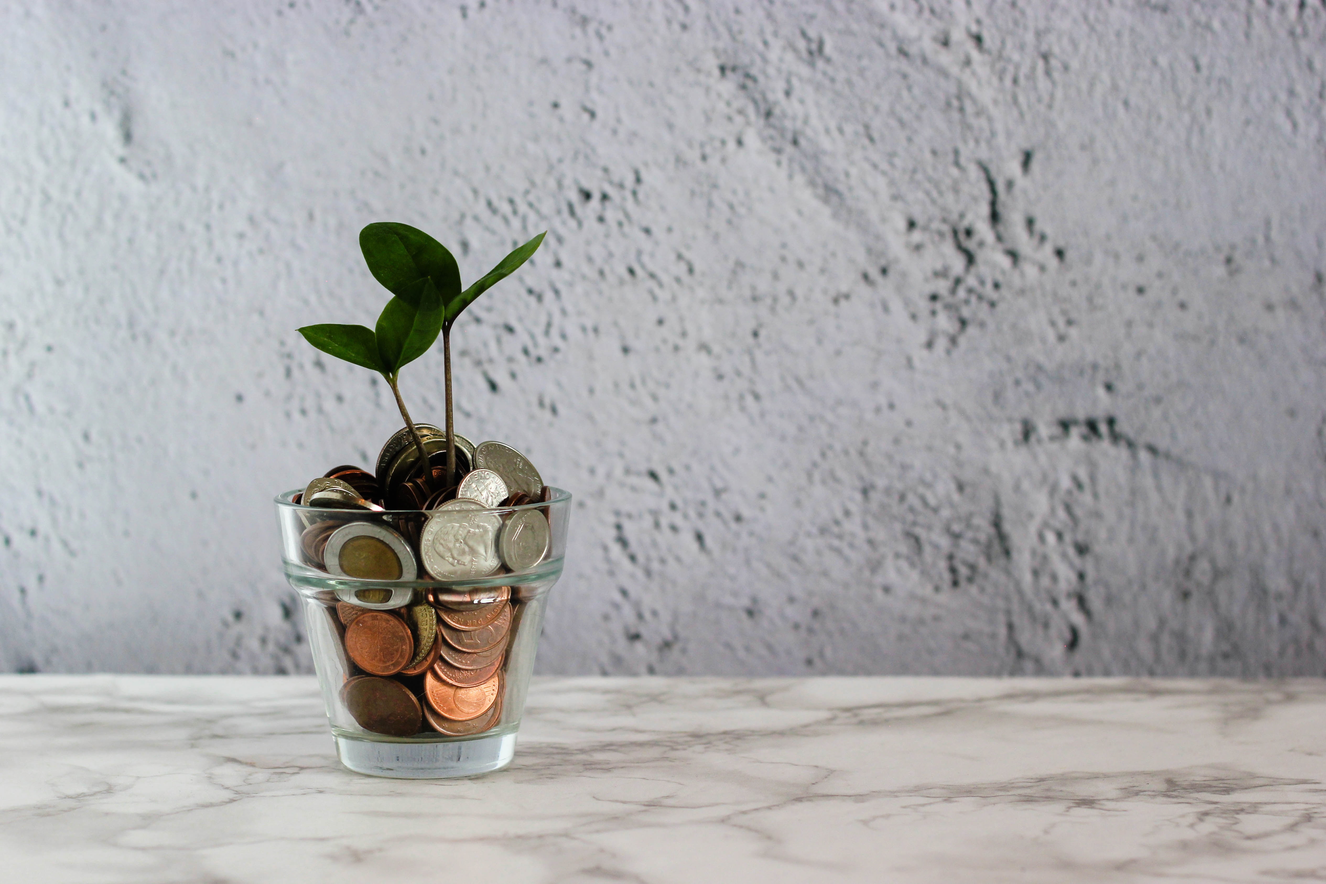 Coins in a glass with a plant